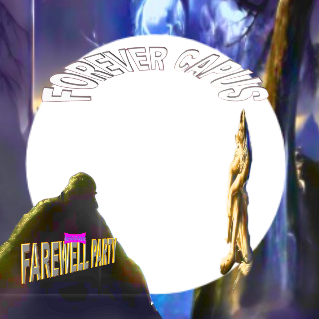 Frame Preview
