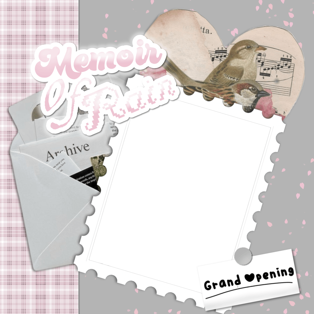 Frame Preview