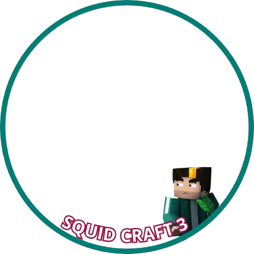 Frame Preview