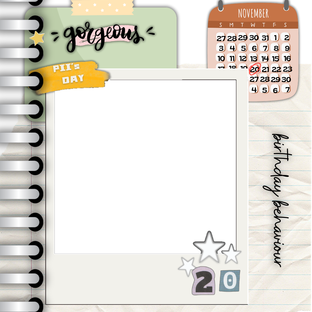Frame Preview