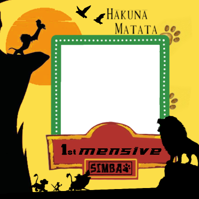 Frame Preview
