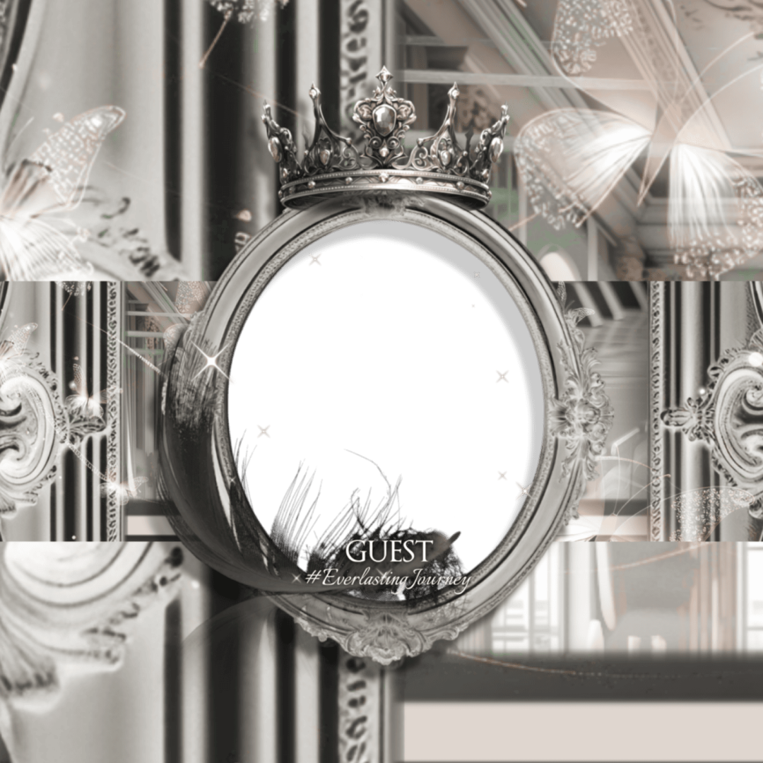 Frame Preview