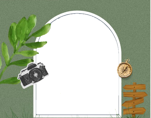 Frame Preview