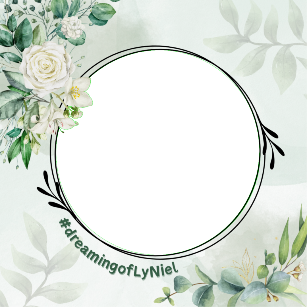 Frame Preview