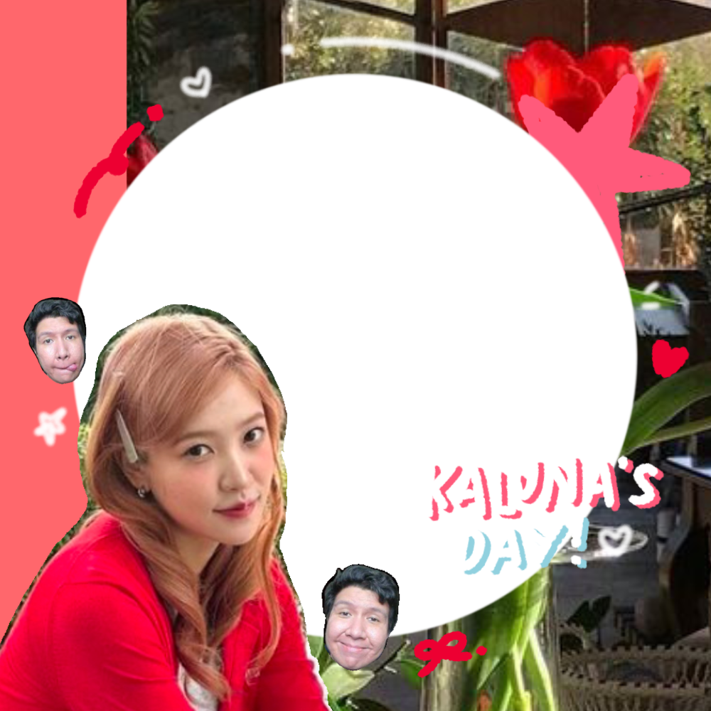 Frame Preview