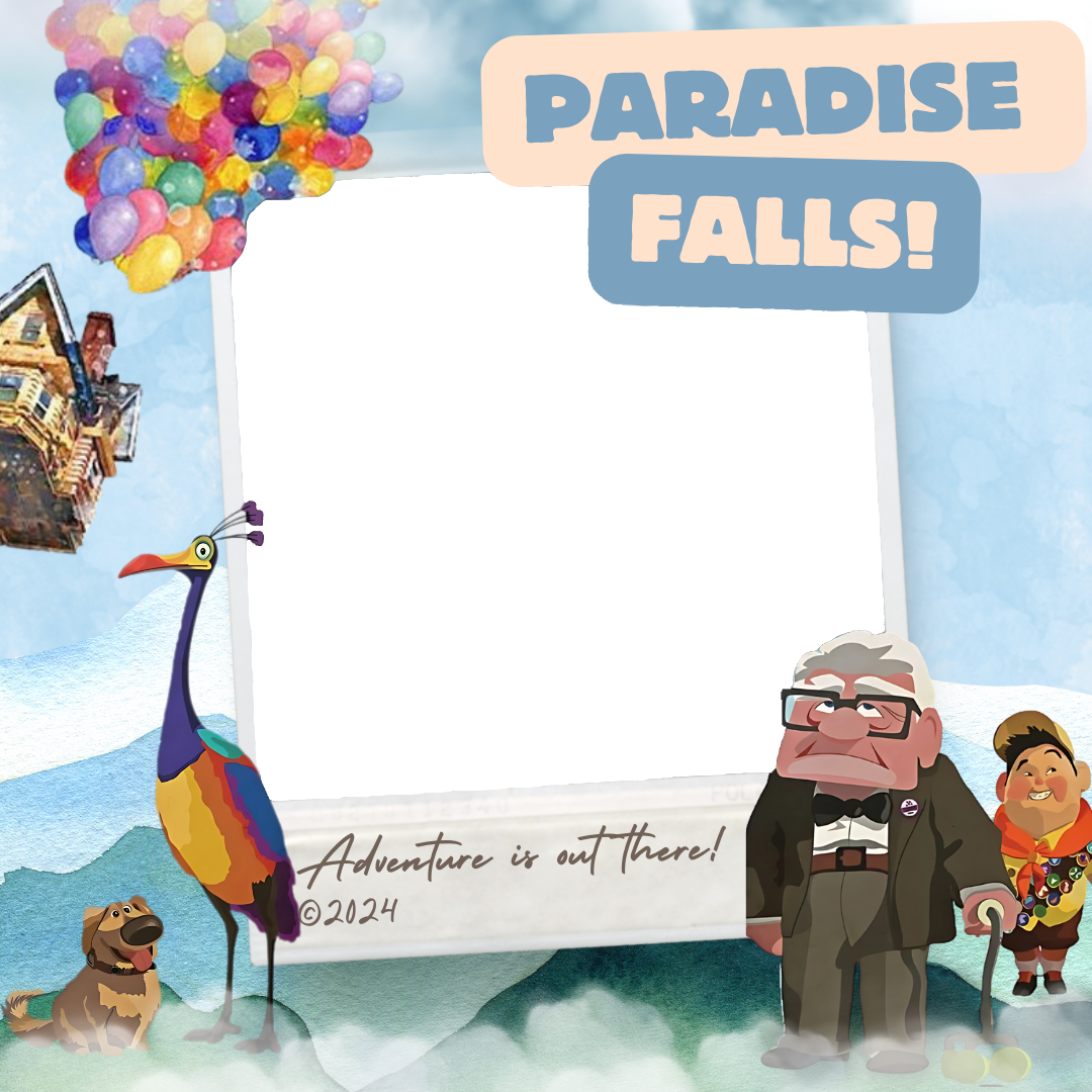 Frame Preview