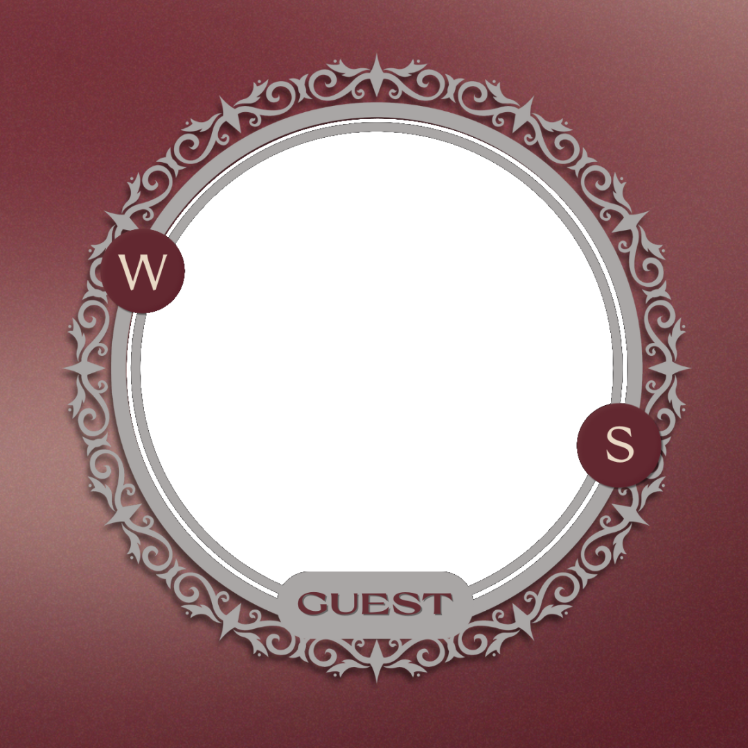 Frame Preview