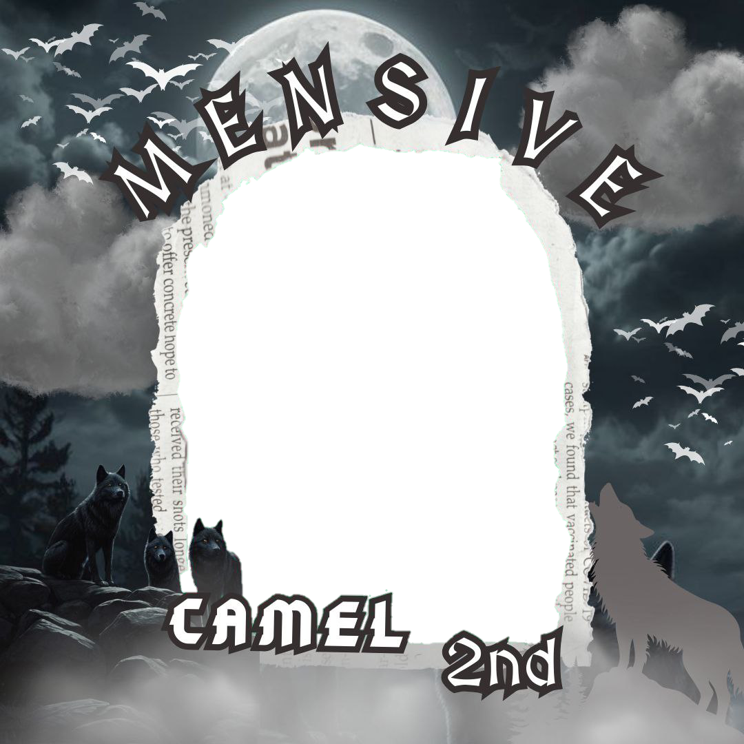 Frame Preview