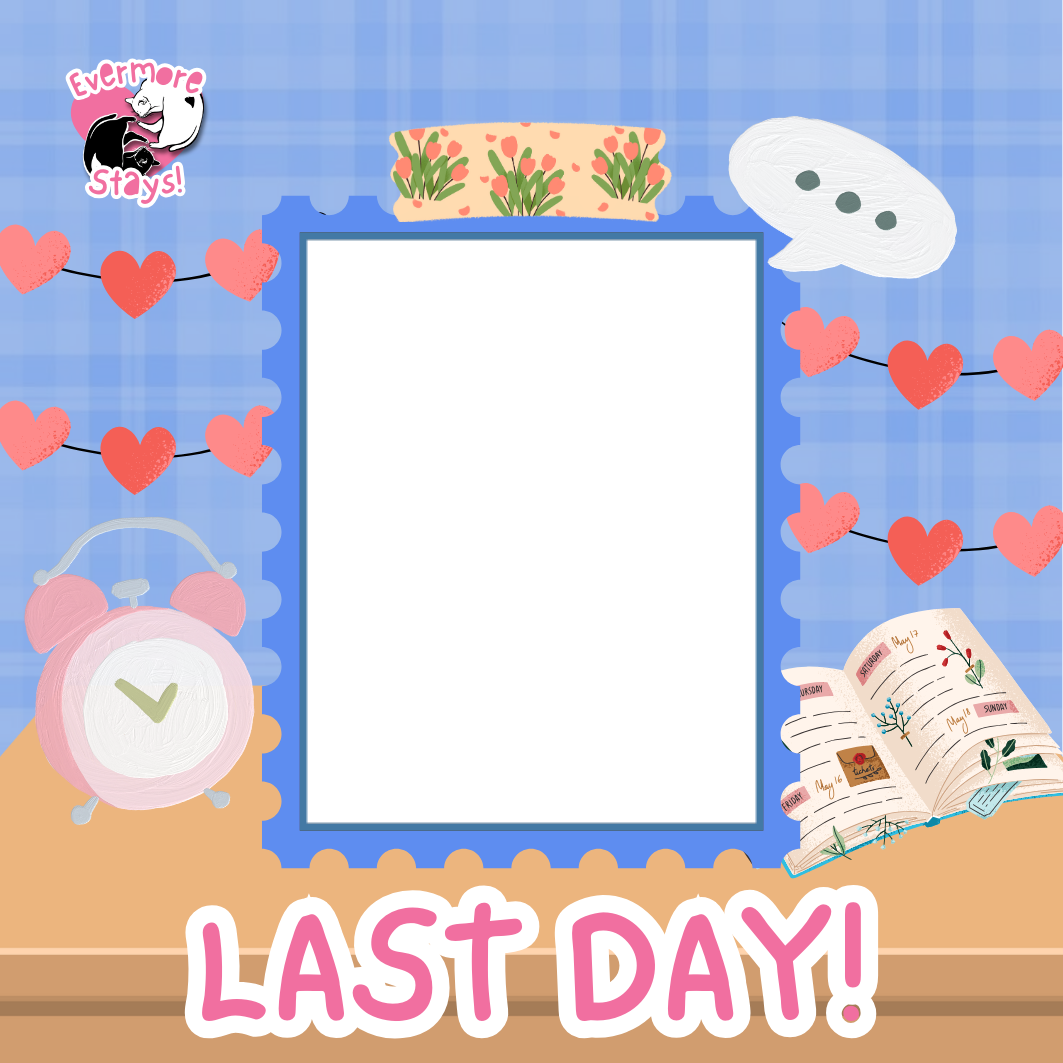 Frame Preview