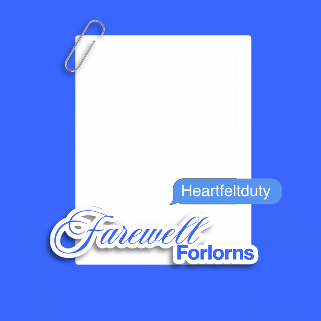 Frame Preview