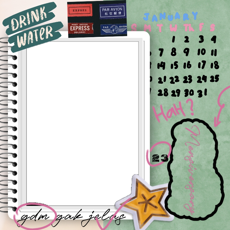 Frame Preview