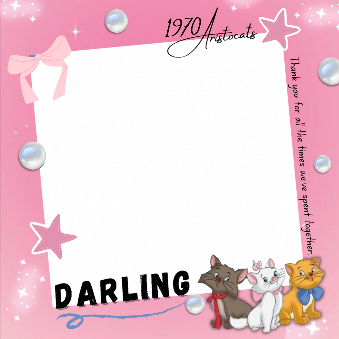 Frame Preview
