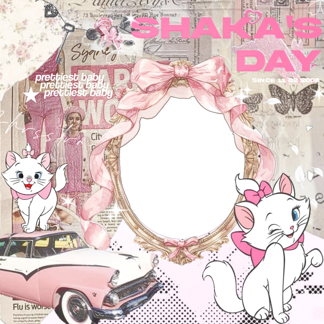 Frame Preview
