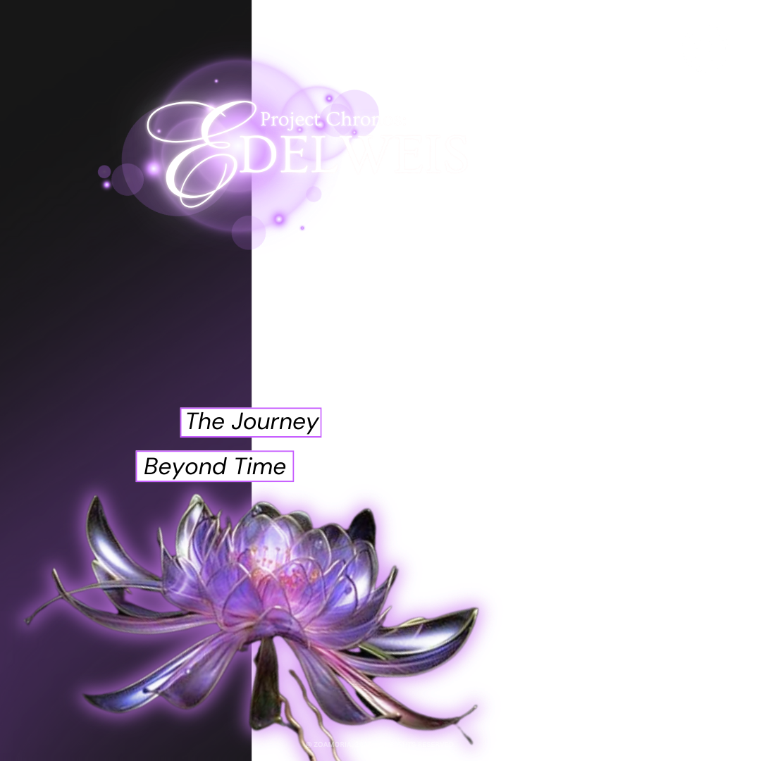 Frame Preview
