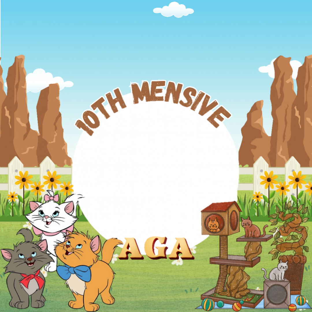 Frame Preview