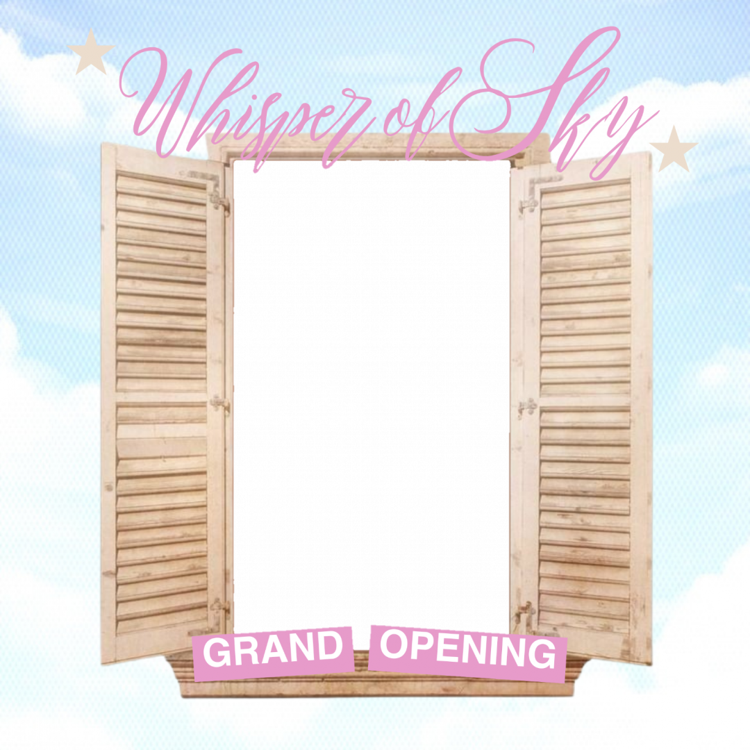 Frame Preview