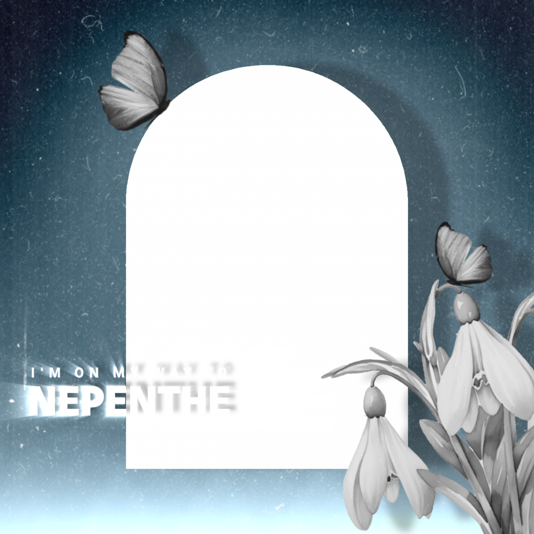 Frame Preview