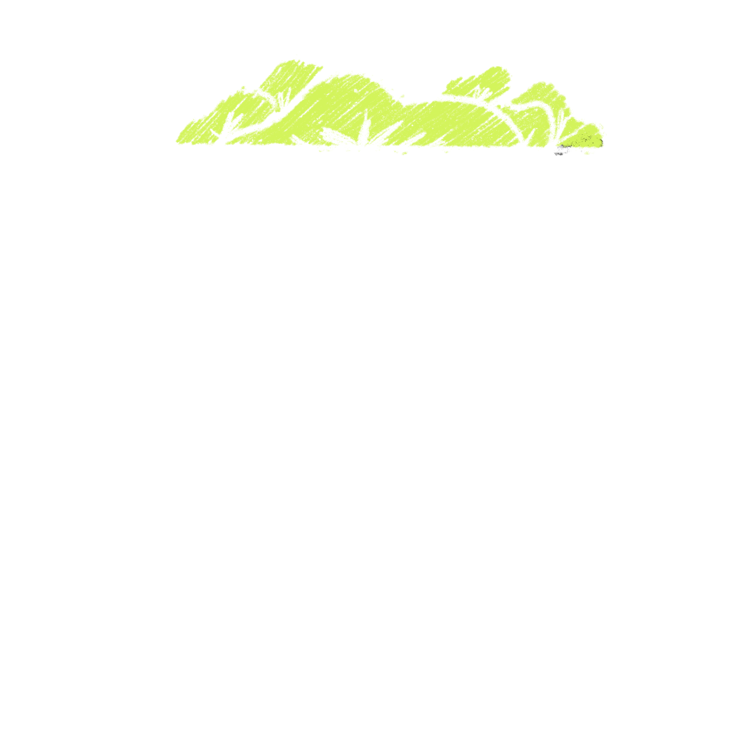 Frame Preview