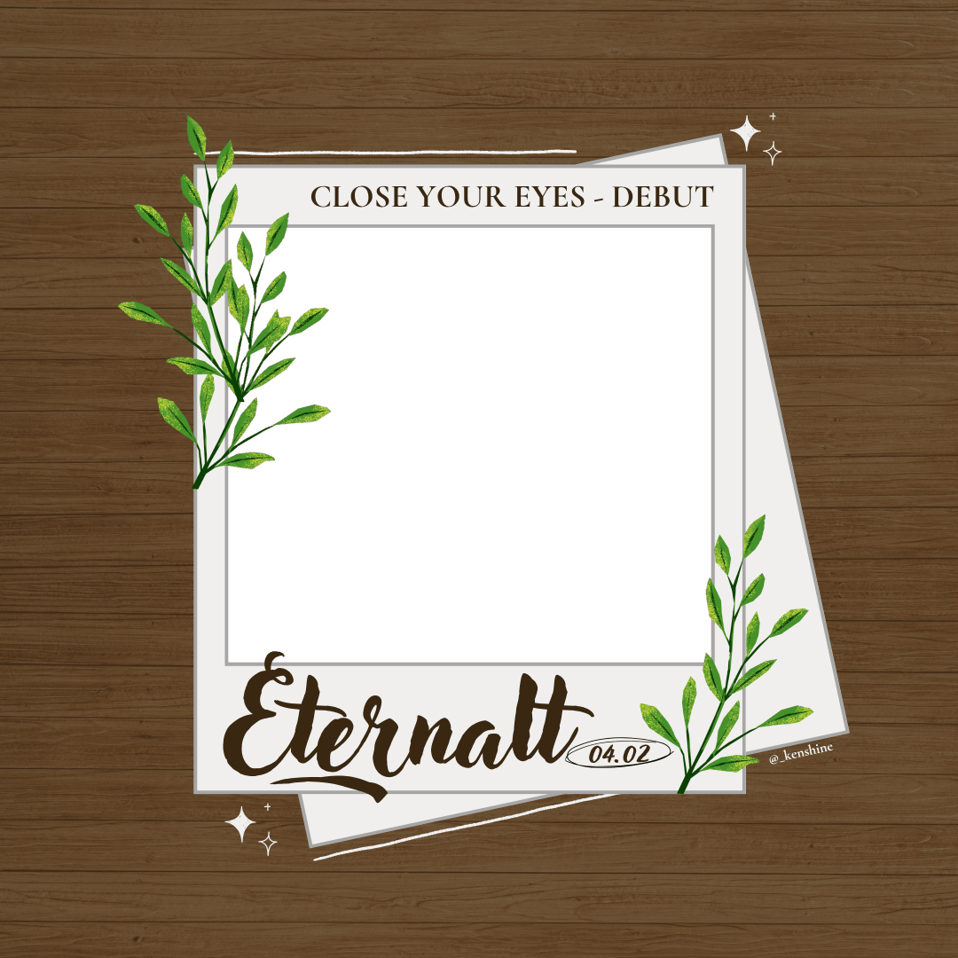 Frame Preview