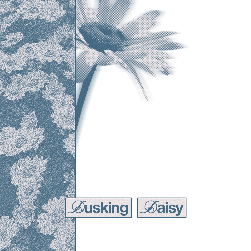 Frame Preview