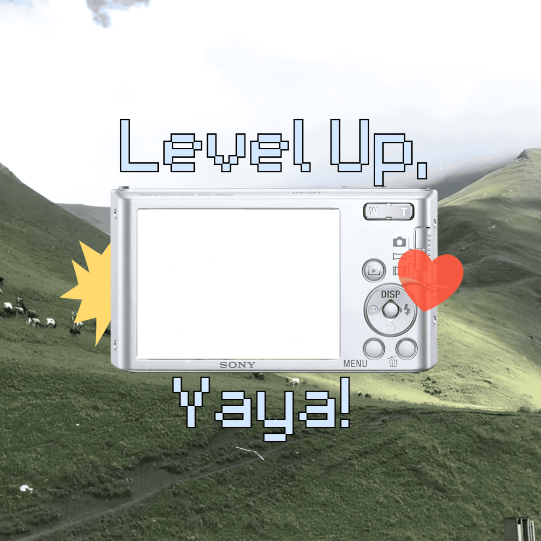 Frame Preview