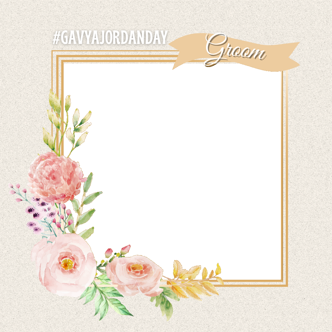 Frame Preview