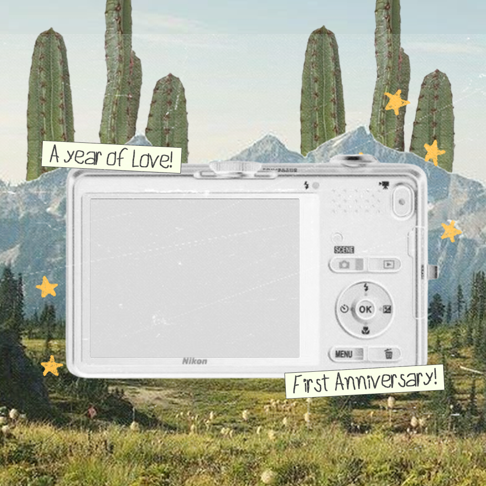 Frame Preview