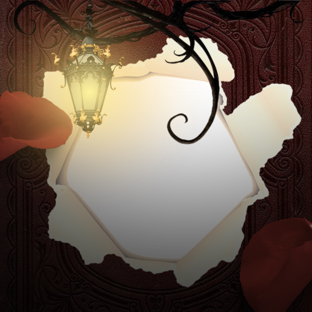 Frame Preview