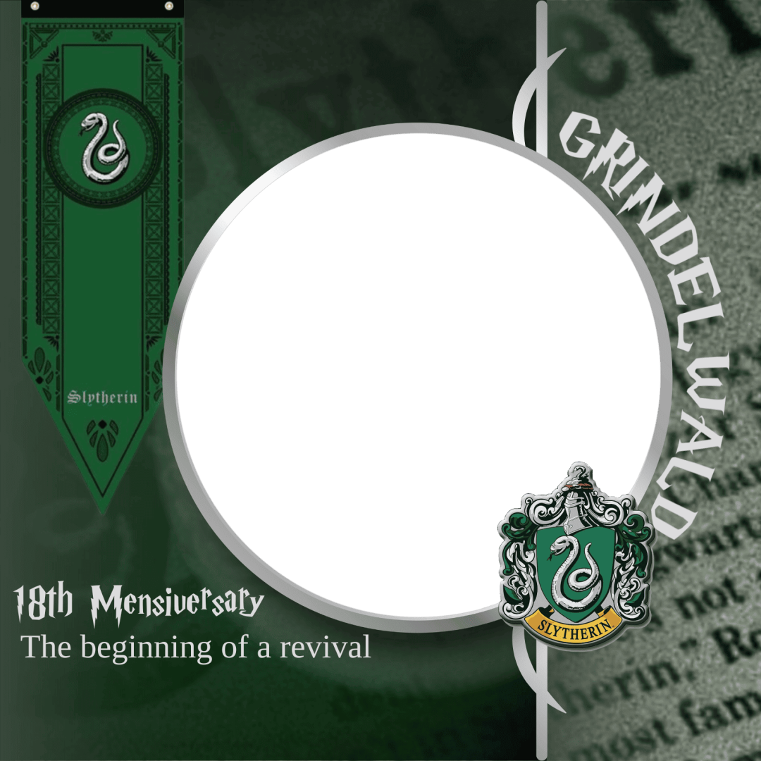 Frame Preview