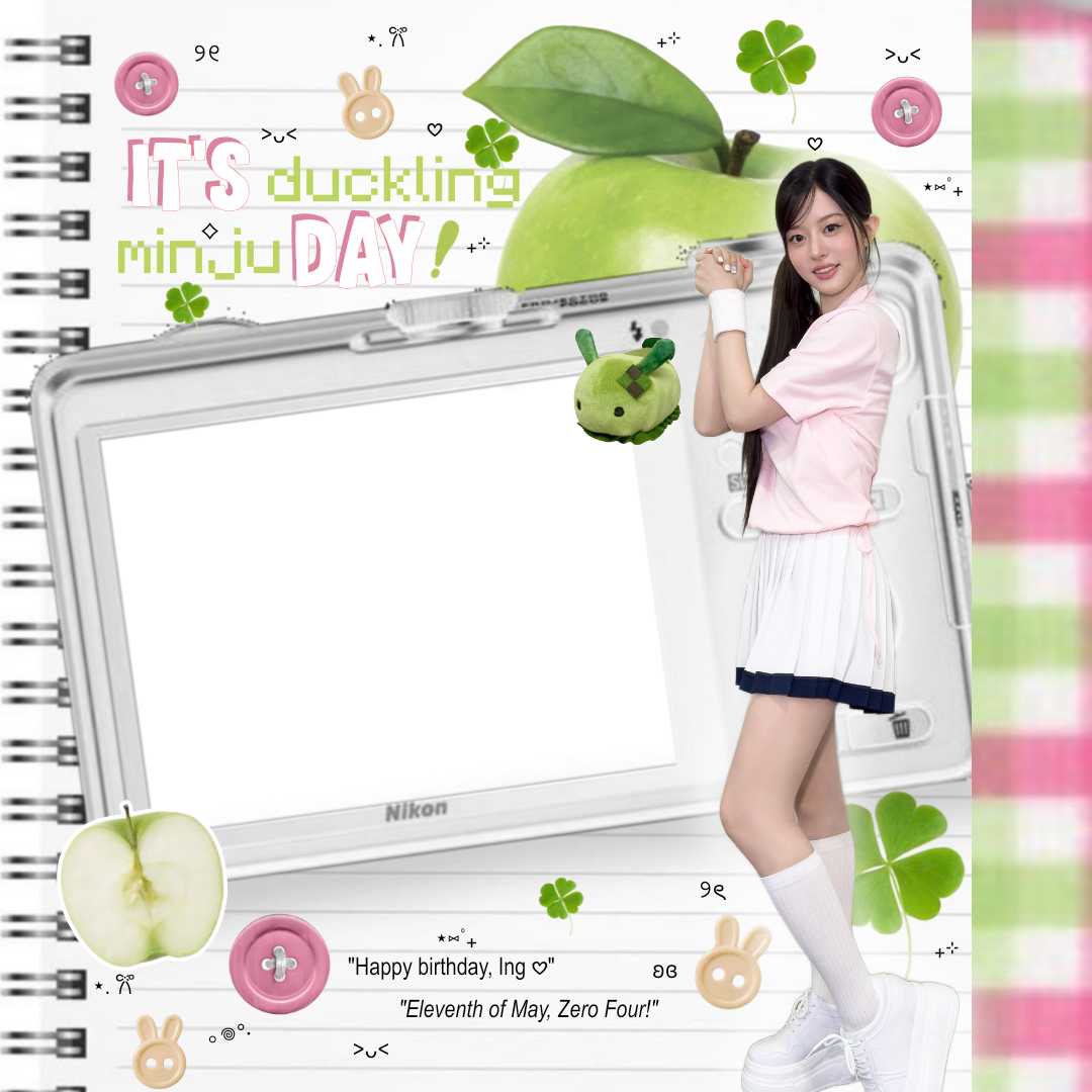 Frame Preview