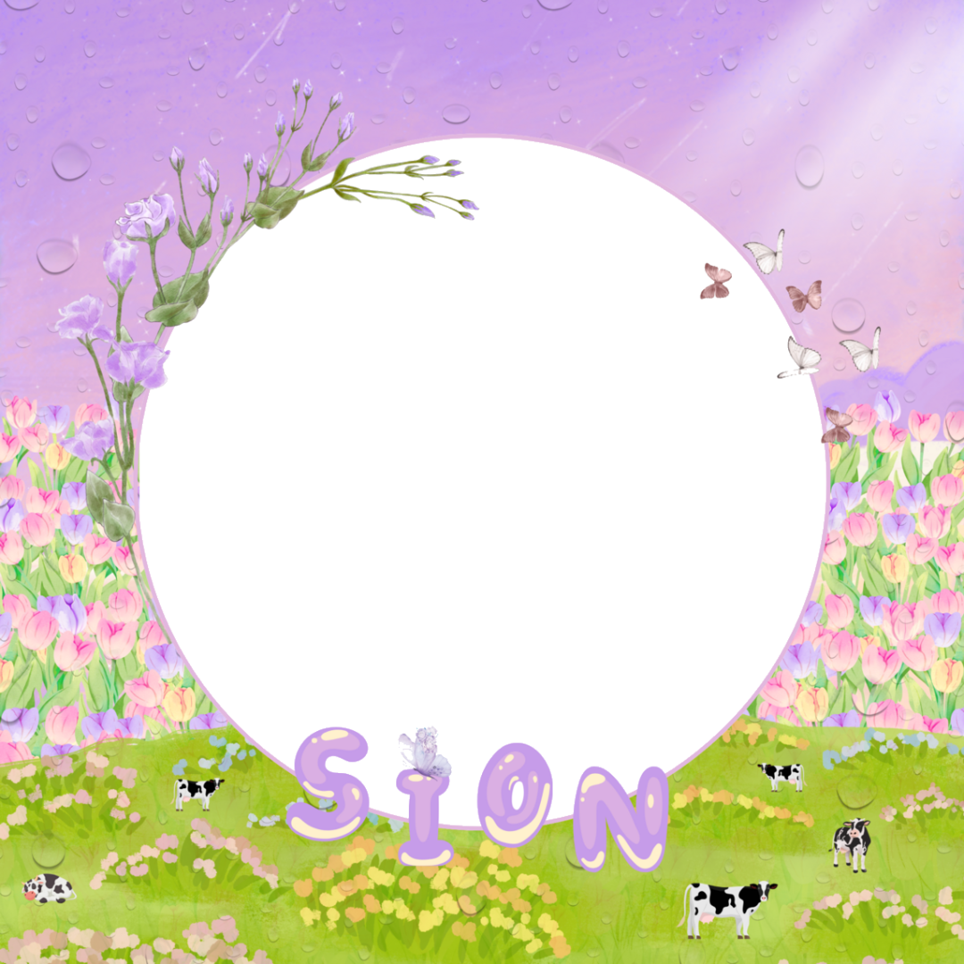 Frame Preview