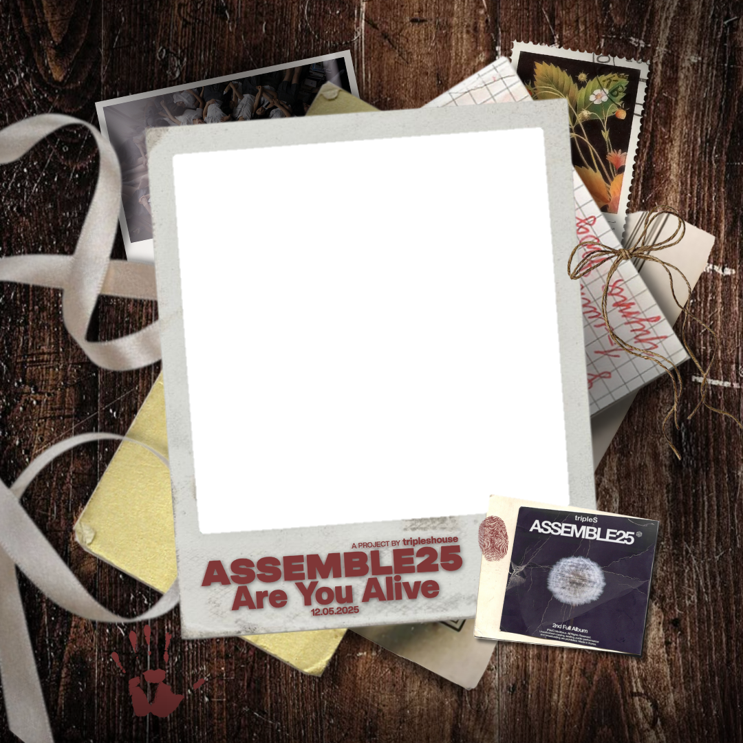 Frame Preview