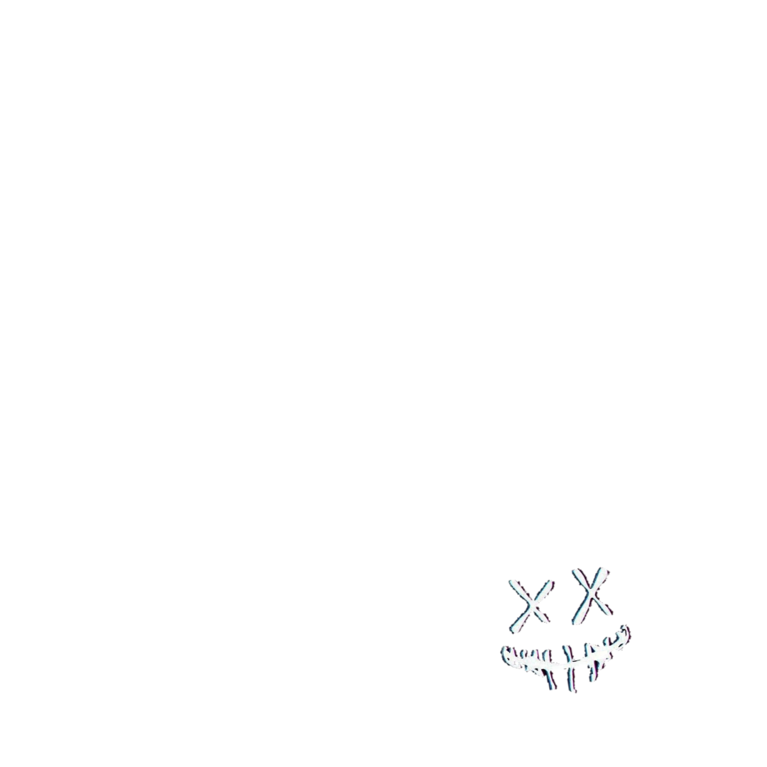 Frame Preview