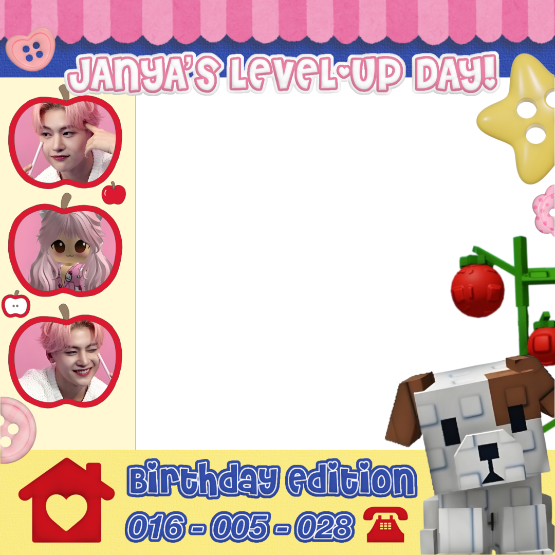Frame Preview