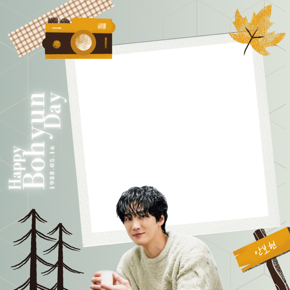 Frame Preview
