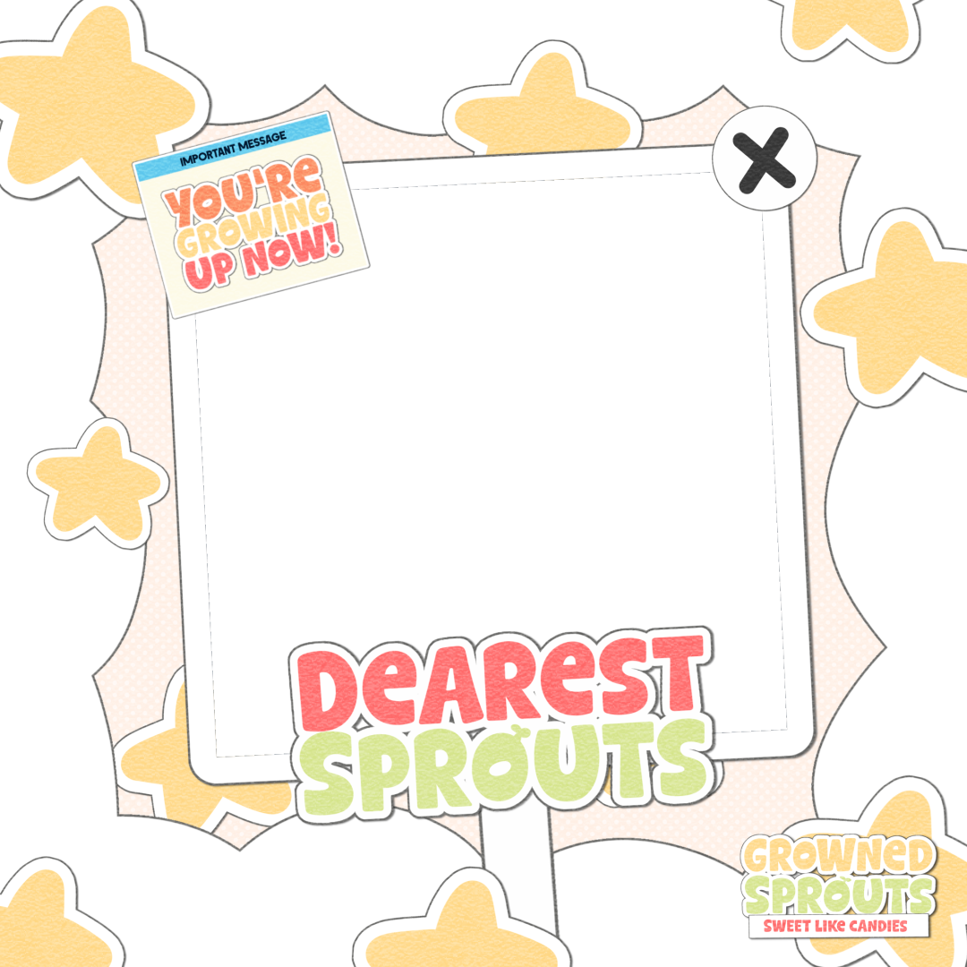 Frame Preview