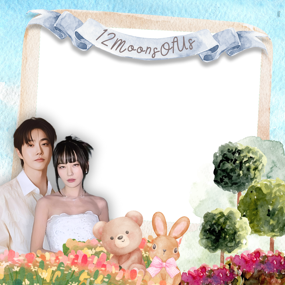 Frame Preview