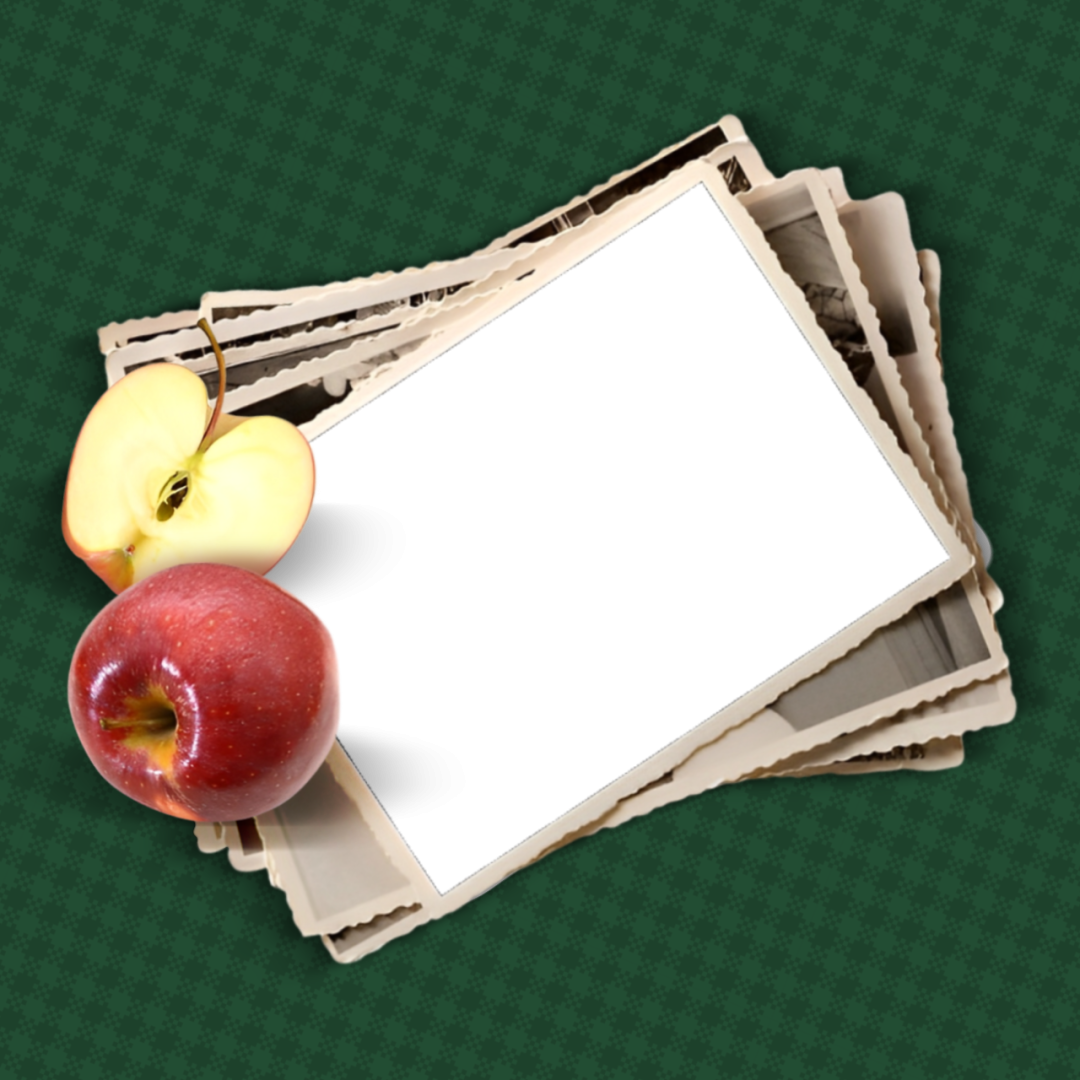 Frame Preview