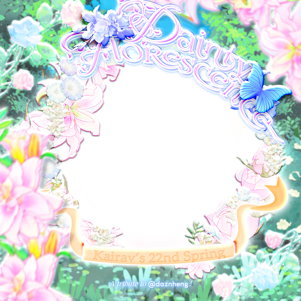 Frame Preview