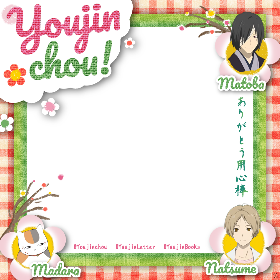 Frame Preview