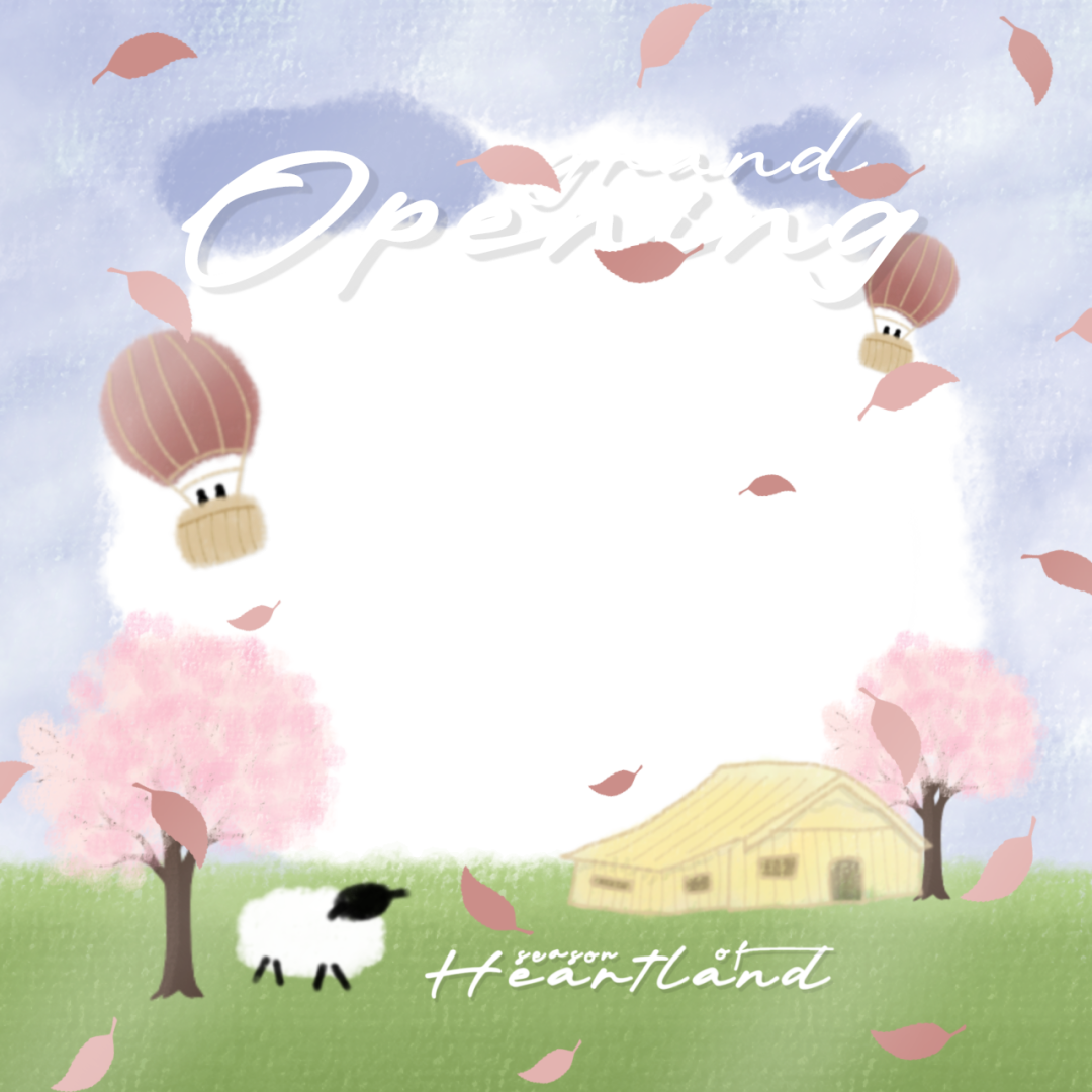 Frame Preview