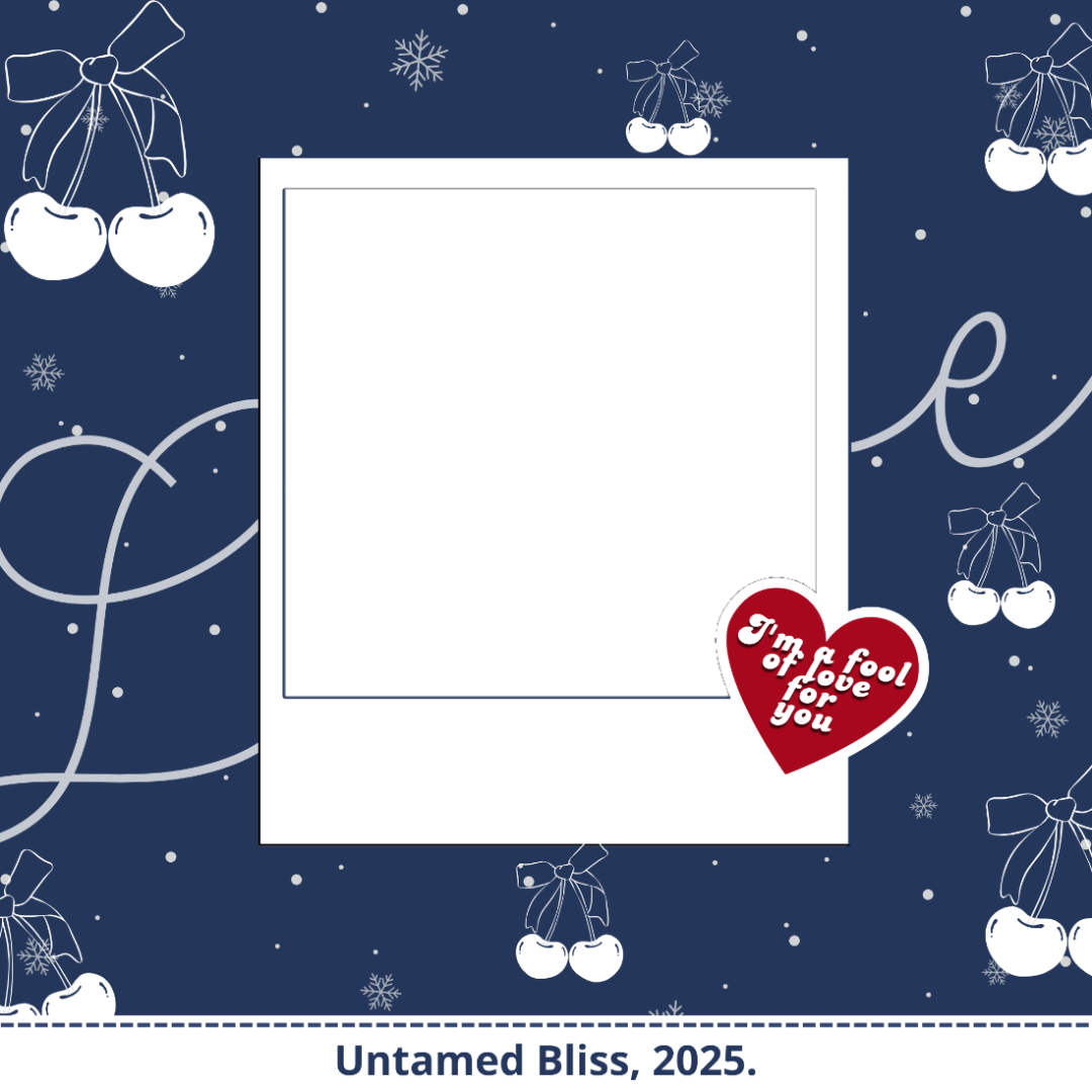 Frame Preview