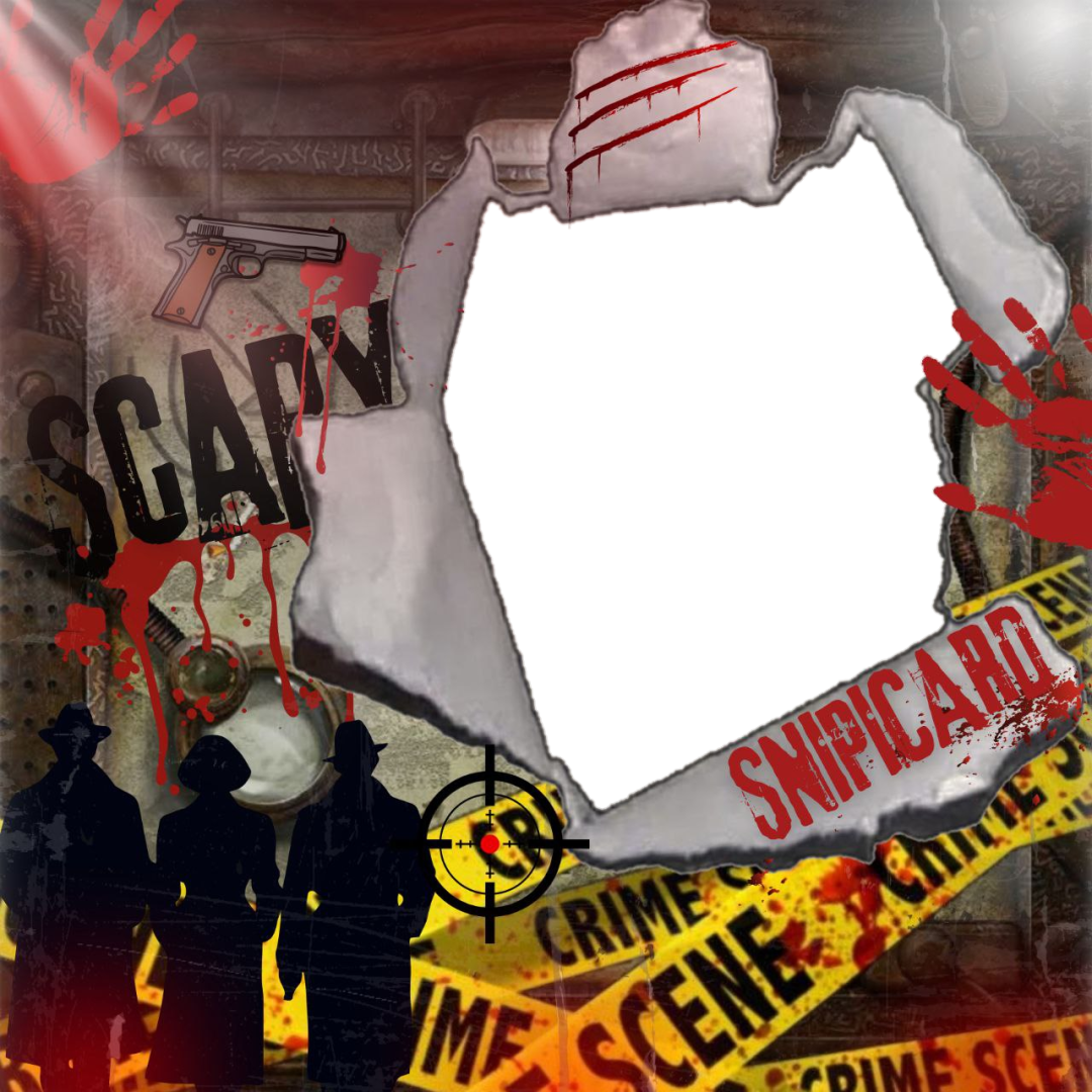 Frame Preview