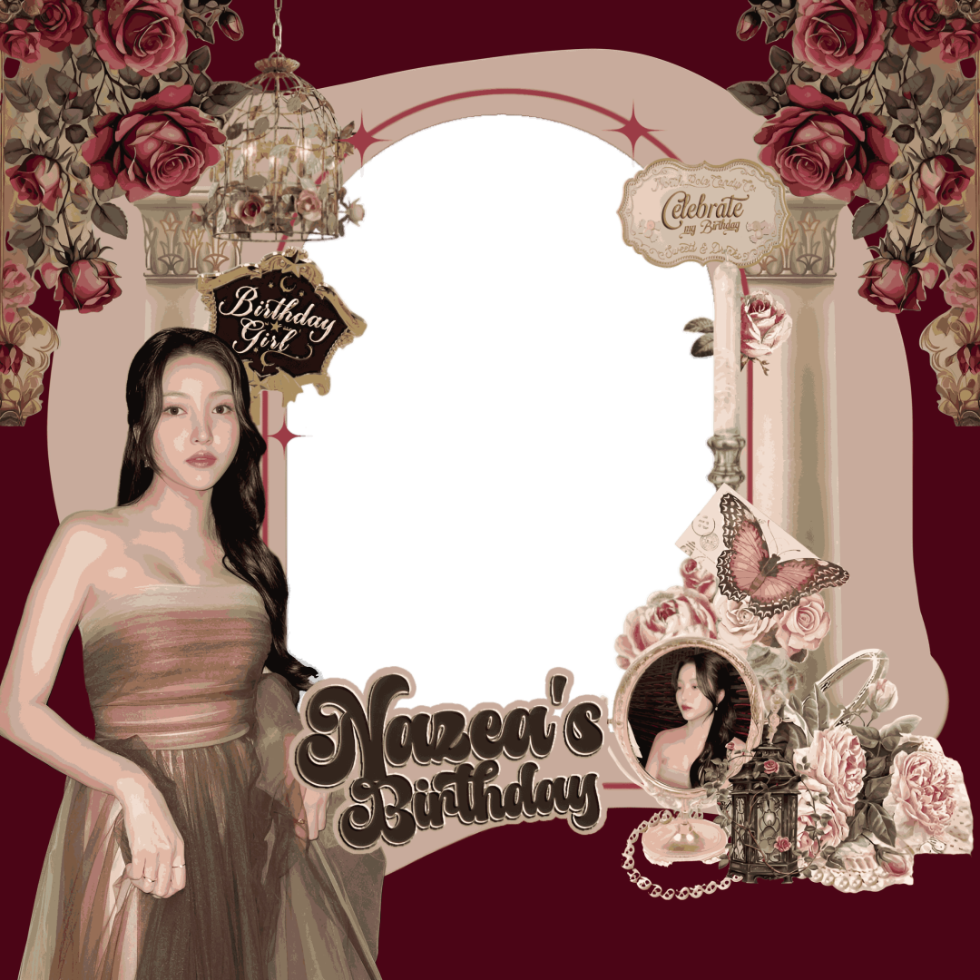 Frame Preview