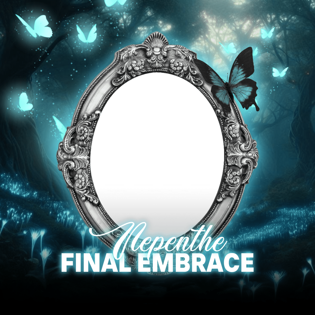 Frame Preview