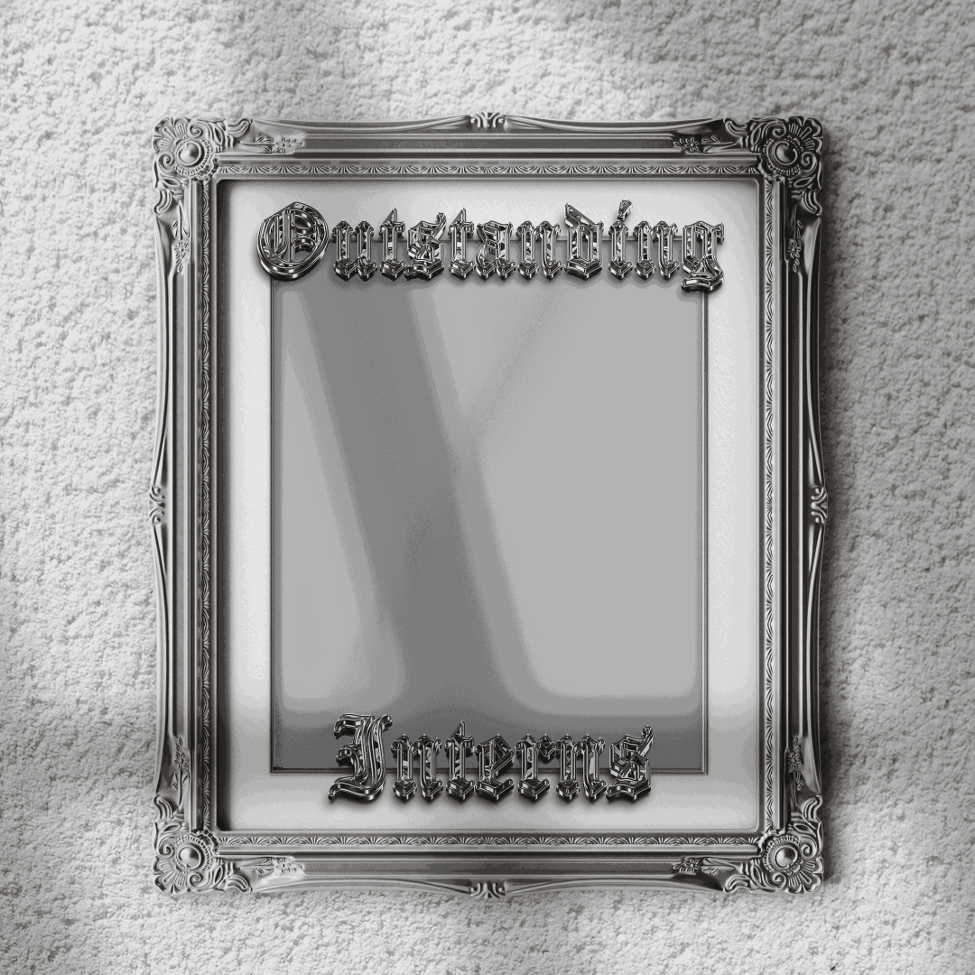 Frame Preview
