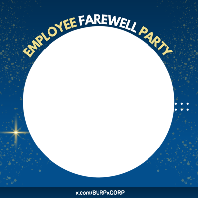 Frame Preview