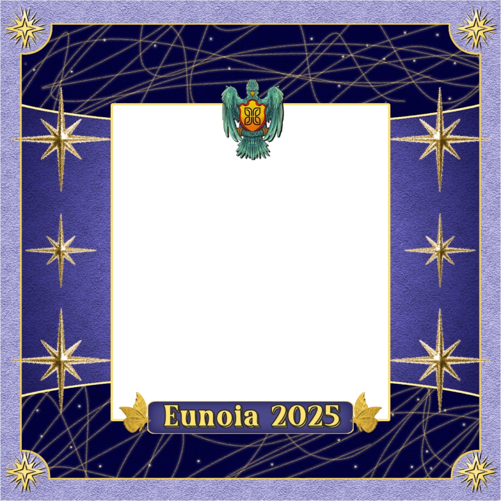 Frame Preview