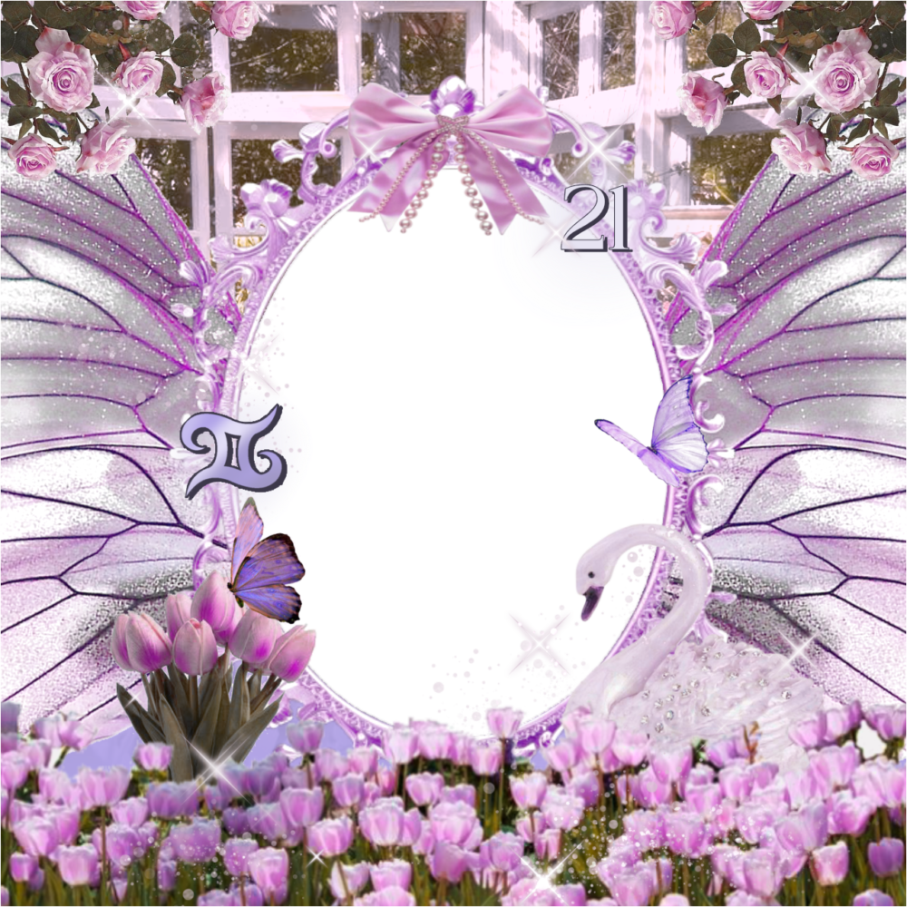 Frame Preview