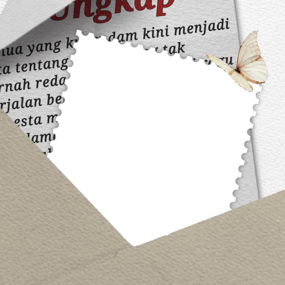 Frame Preview
